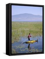 Ethiopia, Lake Awassa; a Young Boy Punts a Traditional Reed Tankwa Through the Reeds-Niels Van Gijn-Framed Stretched Canvas