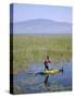 Ethiopia, Lake Awassa; a Young Boy Punts a Traditional Reed Tankwa Through the Reeds-Niels Van Gijn-Stretched Canvas