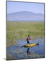 Ethiopia, Lake Awassa; a Young Boy Punts a Traditional Reed Tankwa Through the Reeds-Niels Van Gijn-Mounted Photographic Print