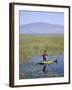 Ethiopia, Lake Awassa; a Young Boy Punts a Traditional Reed Tankwa Through the Reeds-Niels Van Gijn-Framed Photographic Print