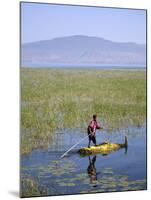 Ethiopia, Lake Awassa; a Young Boy Punts a Traditional Reed Tankwa Through the Reeds-Niels Van Gijn-Mounted Photographic Print