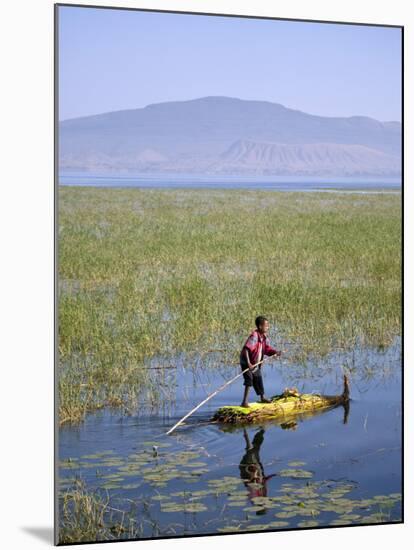 Ethiopia, Lake Awassa; a Young Boy Punts a Traditional Reed Tankwa Through the Reeds-Niels Van Gijn-Mounted Photographic Print