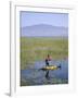 Ethiopia, Lake Awassa; a Young Boy Punts a Traditional Reed Tankwa Through the Reeds-Niels Van Gijn-Framed Photographic Print