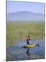 Ethiopia, Lake Awassa; a Young Boy Punts a Traditional Reed Tankwa Through the Reeds-Niels Van Gijn-Mounted Photographic Print