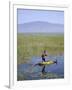 Ethiopia, Lake Awassa; a Young Boy Punts a Traditional Reed Tankwa Through the Reeds-Niels Van Gijn-Framed Photographic Print