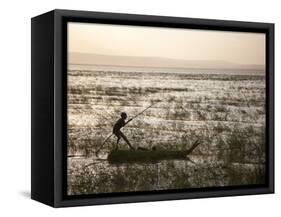 Ethiopia, Lake Awassa; a Young Boy Punts a Traditional Reed Tankwa Through the Reeds-Niels Van Gijn-Framed Stretched Canvas