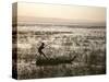 Ethiopia, Lake Awassa; a Young Boy Punts a Traditional Reed Tankwa Through the Reeds-Niels Van Gijn-Stretched Canvas