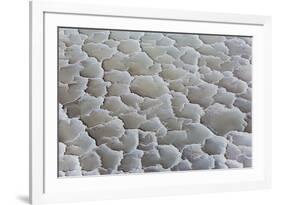 Ethiopia, Lake Karum, Afar Region. Salt Patterns on the Flats Beside Lake Karum.-Nigel Pavitt-Framed Photographic Print