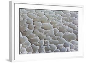 Ethiopia, Lake Karum, Afar Region. Salt Patterns on the Flats Beside Lake Karum.-Nigel Pavitt-Framed Photographic Print