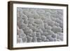 Ethiopia, Lake Karum, Afar Region. Salt Patterns on the Flats Beside Lake Karum.-Nigel Pavitt-Framed Photographic Print