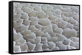 Ethiopia, Lake Karum, Afar Region. Salt Patterns on the Flats Beside Lake Karum.-Nigel Pavitt-Framed Stretched Canvas