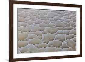 Ethiopia, Lake Karum, Afar Region. Salt Patterns on the Flats Beside Lake Karum.-Nigel Pavitt-Framed Photographic Print