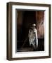 Ethiopia, Lalibela; a Priest in One of the Ancient Rock-Hewn Churches of Lalibela-Niels Van Gijn-Framed Photographic Print