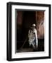 Ethiopia, Lalibela; a Priest in One of the Ancient Rock-Hewn Churches of Lalibela-Niels Van Gijn-Framed Photographic Print