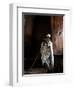 Ethiopia, Lalibela; a Priest in One of the Ancient Rock-Hewn Churches of Lalibela-Niels Van Gijn-Framed Photographic Print