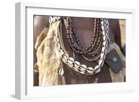 Ethiopia, Omo River Valley, South Omo, Hamer tribe. Detail of a necklace and cowrie shells-Ellen Goff-Framed Photographic Print