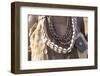 Ethiopia, Omo River Valley, South Omo, Hamer tribe. Detail of a necklace and cowrie shells-Ellen Goff-Framed Photographic Print