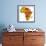 Ethiopia on Actual Map of Africa-michal812-Framed Art Print displayed on a wall