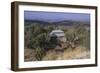 Ethiopia, Tigrai, Aksum, Monastery of Abba Pantelewon, Founded in 6th Century-null-Framed Giclee Print