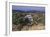 Ethiopia, Tigrai, Aksum, Monastery of Abba Pantelewon, Founded in 6th Century-null-Framed Giclee Print