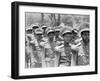 Ethiopia-Alfred Eisenstaedt-Framed Photographic Print