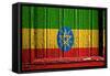 Ethiopia-budastock-Framed Stretched Canvas