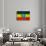 Ethiopian Flag-igor stevanovic-Art Print displayed on a wall