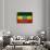 Ethiopian Flag-igor stevanovic-Framed Art Print displayed on a wall