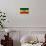 Ethiopian Flag-igor stevanovic-Art Print displayed on a wall