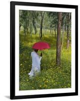 Ethiopian Woman Holding a Red Umbrella in a Field of Eucalyptus and Blooming Yellow Meskel Flowers-Gavin Hellier-Framed Photographic Print