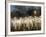 Ethnic Albanian Shepherd Herds His Sheep in the North-West Macedonian Village of Galata-null-Framed Photographic Print