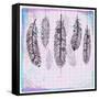 Ethnic Dream Catcher-transiastock-Framed Stretched Canvas