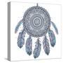 Ethnic Dream Catcher-transiastock-Stretched Canvas