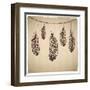 Ethnic Feather On The Cardboard Background-transiastock-Framed Art Print