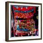 Ethno Bag-Linda Arthurs-Framed Premium Giclee Print