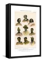 Ethnology, Races of Man, 1800-1900-R Anderson-Framed Stretched Canvas