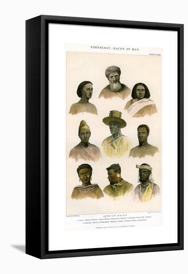 Ethnology, Races of Man, 1800-1900-R Anderson-Framed Stretched Canvas