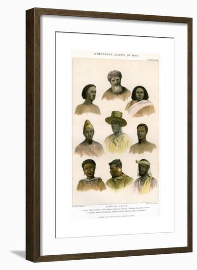 Ethnology, Races of Man, 1800-1900-R Anderson-Framed Giclee Print