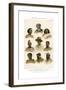 Ethnology, Races of Man, 1800-1900-R Anderson-Framed Giclee Print