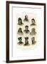 Ethnology, Races of Man, 1800-1900-R Anderson-Framed Giclee Print