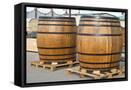 Framed Canvas