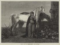 Jeune Fille De L'Herzegovine-Etienne Gautier-Mounted Giclee Print