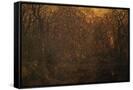 Canvas Black