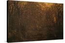 Stretched Canvas