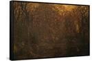 Canvas Black