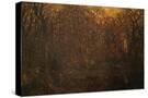 Stretched Canvas