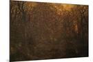 Wood Mount