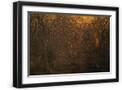 Black Frame