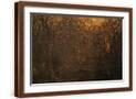 Brown Frame