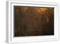 White Frame